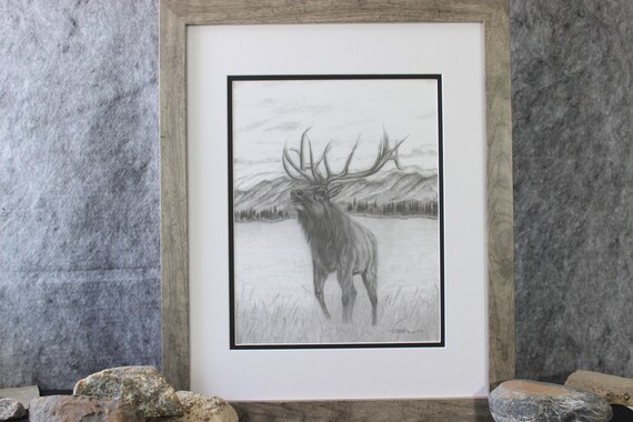 Bull Elk Pencil Print Bugling Graphite Animal Etsy