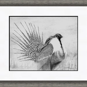 Fine Art Print The Greater Sage Grouse and Adventure Boy -  Portugal