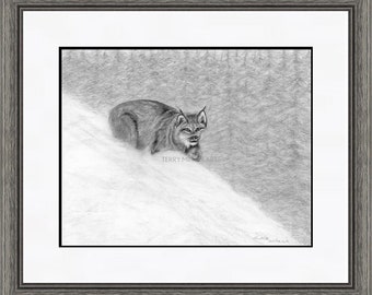 Lynx Pencil Art Print "Lynx in Winter", Graphite Animal Art, Pencil Animal Art Print, Black and White Pencil Sketch, Wildlife Art Print