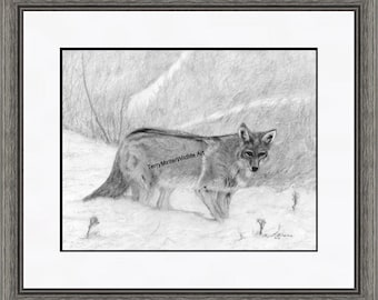 Coyote Pencil Art Sketch Print "Searching", Hunting Pencil Print, Saskatchewan Wildlife Art, Canada Animal Art, Coyote Picture Drawing