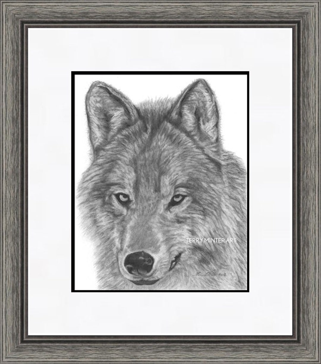 Buy Wolf Pencil Art Sketch Print 