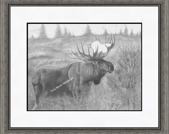 Bull Moose Pencil Art Drawing "Solitary", Pencil Drawing Animal Print, Gift for Brother, Gift for Father, Terry Minter Wildlife Art, 11 x 14