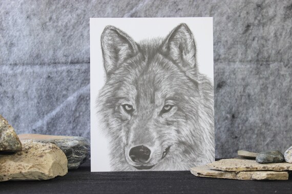 Buy Wolf Pencil Art Sketch Print 