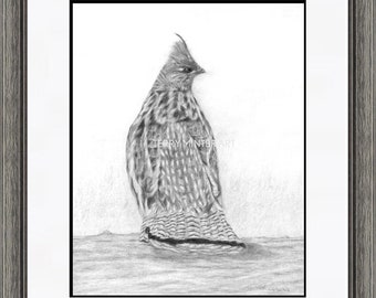 Male Ruffed Grouse Pencil Print "Drummer", Canadian Wildlife Pencil Drawing Print, Prairie Bird Print, Black & White Pencil Drawing Art
