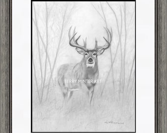 24+ Free Deer Drawings & Designs