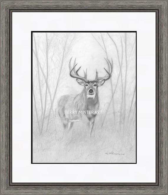 black buck in 2023 | Hunting art, Cool art, Buck