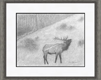 Bull Elk Pencil Art Drawing "Challenger", Pencil Drawing Animal Print, 11 x 14, Gift for Brother, Gift for Father, Terry Minter Wildlife Art