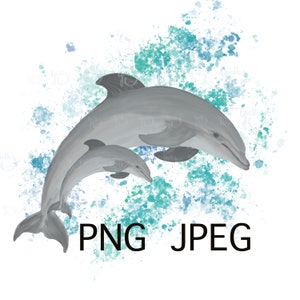 Graphique numérique Des dauphins