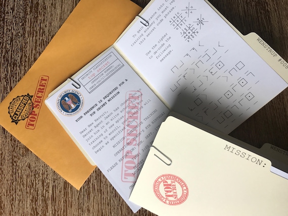 Spy Birthday Party Invitations Detective Party Invitations Etsy