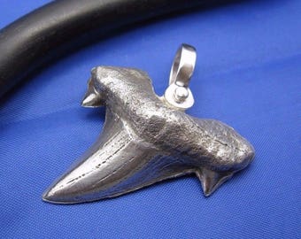 Sterling Silver Shark Tooth Pendant: Nautical Arrowhead Jewelry