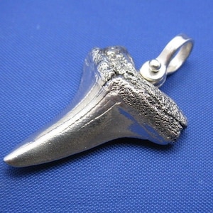 Sterling Silver Shark Tooth Pendant with Nautical Shackle Bail