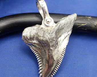 May include: A silver pendant shaped like a shark tooth with a loop at the top for attaching a chain. The tooth is detailed with serrations along the edges.