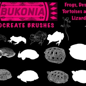 May include: A set of 10 Procreate brushes featuring line drawings of frogs, desert tortoises, and a lizard. The brushes are in black and white and are perfect for creating nature-themed illustrations.