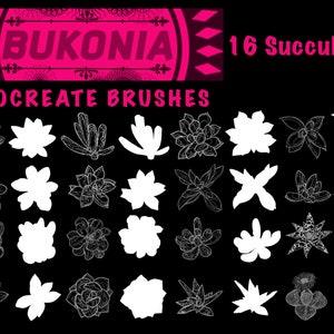 16 Suculentos - Pinceles Procreados por Bukonia