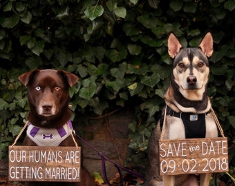 Our Humans are Getting Married, Pet Save the Date Sign, Dog Photo Prop Sign, Pet Wedding Sign, Engagement Photos Sign, Rustic Wedding Signs