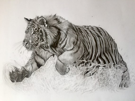 Meilleure Nouvelle Dessin Tigre Realiste The Vegen Princess Meilleure Nouvelle Dessin Tigre Realiste The Vegen Princess