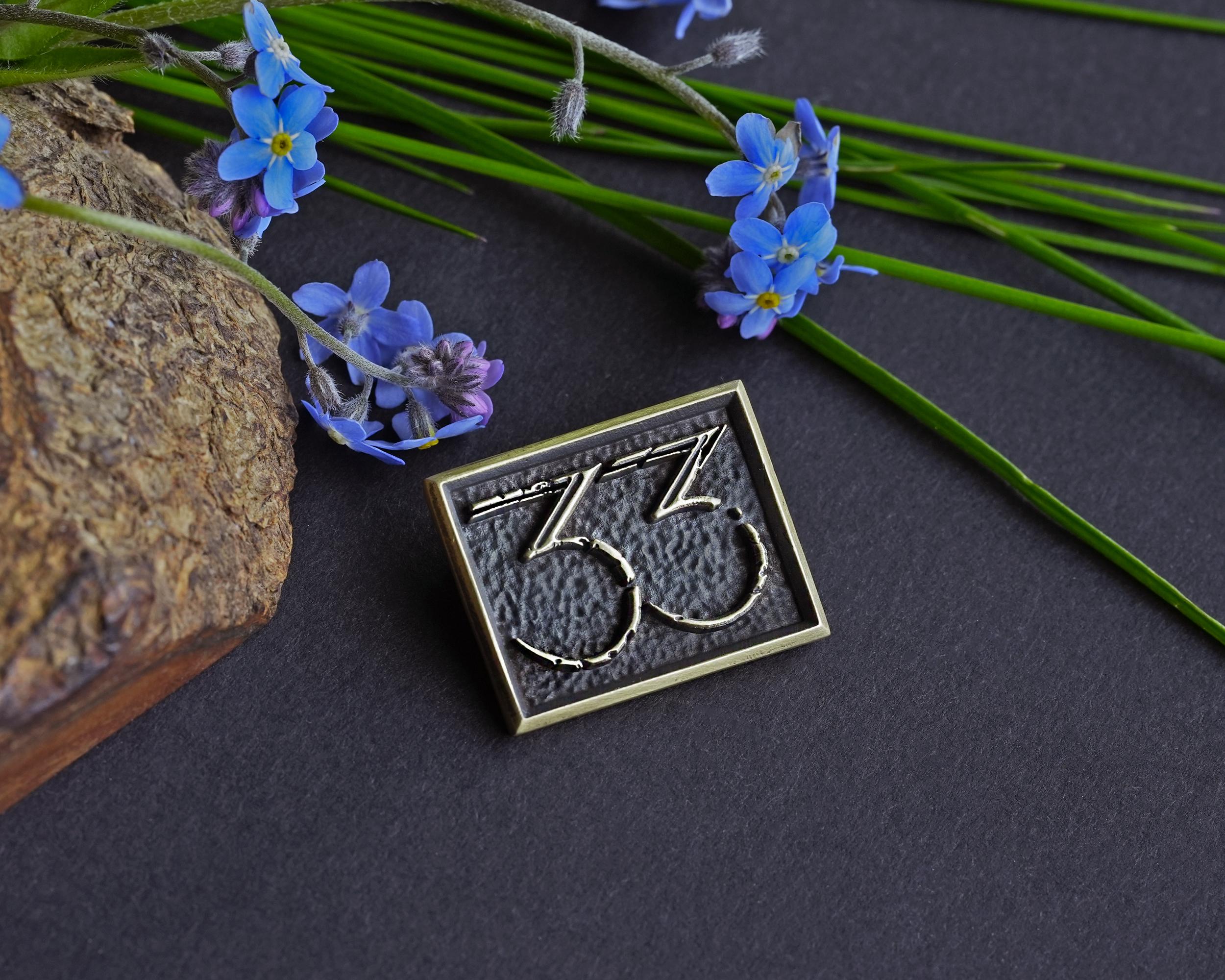 Expedition 33 Pin - Brass Emblem Brooch Badge Patch - Etsy