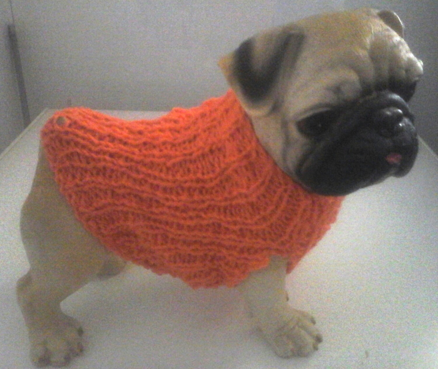pumpkin dog jumper