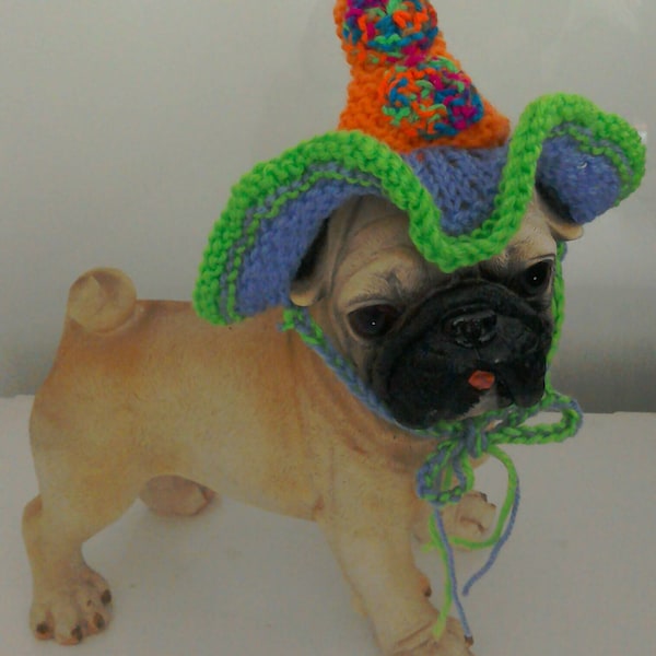 Birthday Hat for dogs, Spring Dog Hat, Dog Easter Hat, Purple dog hat, dog hat, Dog Beanie, Pet Photo Prop, Spring Knit Hat, Hat for Cats