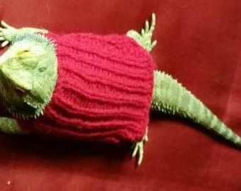 Maglione lavorato a mano a forma di drago barbuto: abbigliamento invernale per animali domestici