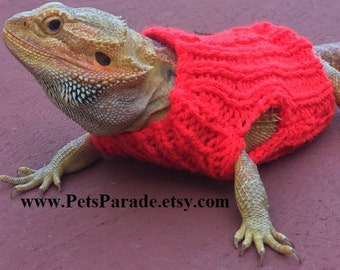 San Antonio Rampage will wear throwback Dragons, Iguanas sweaters