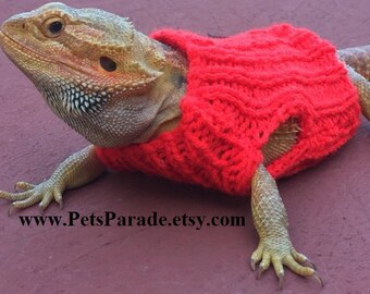 Maglione festivo rosso a forma di drago barbuto lavorato a mano: abbigliamento per rettili da compagnia
