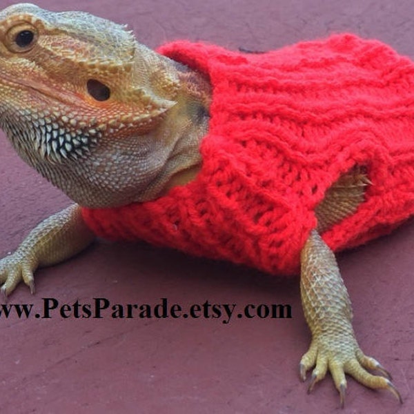 Bearded Dragon Sweater Etsy