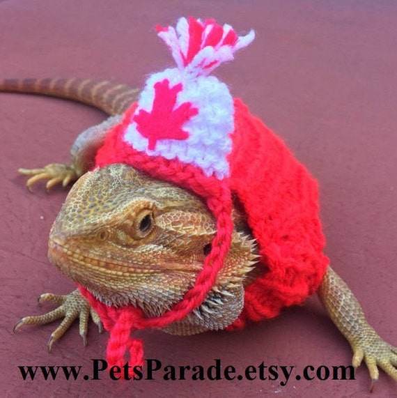 dragon sweaters