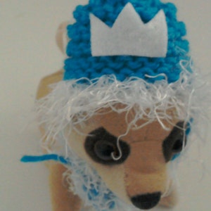 Guinea Pig Hat, Guinea Pig Hat, Guinea pig Birthday Hat, Guinea pig Costume, Frozen, Tiny Pet Bonnet, Guinea Pig sweater, Guinea Pig Cape