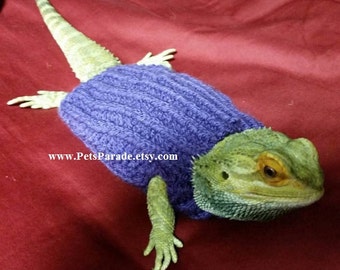 Maglione fatto a mano con drago barbuto: vestiti da lucertola, costume da animale domestico