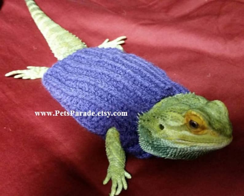 Bearded Dragon Sweater Handmade Dragon Clothes Leopard Etsy