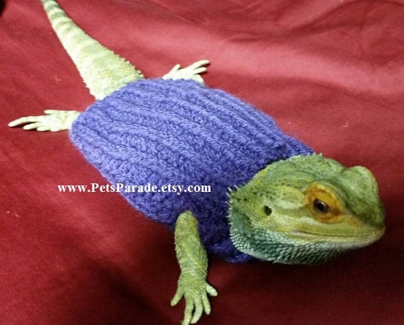 dragon sweaters