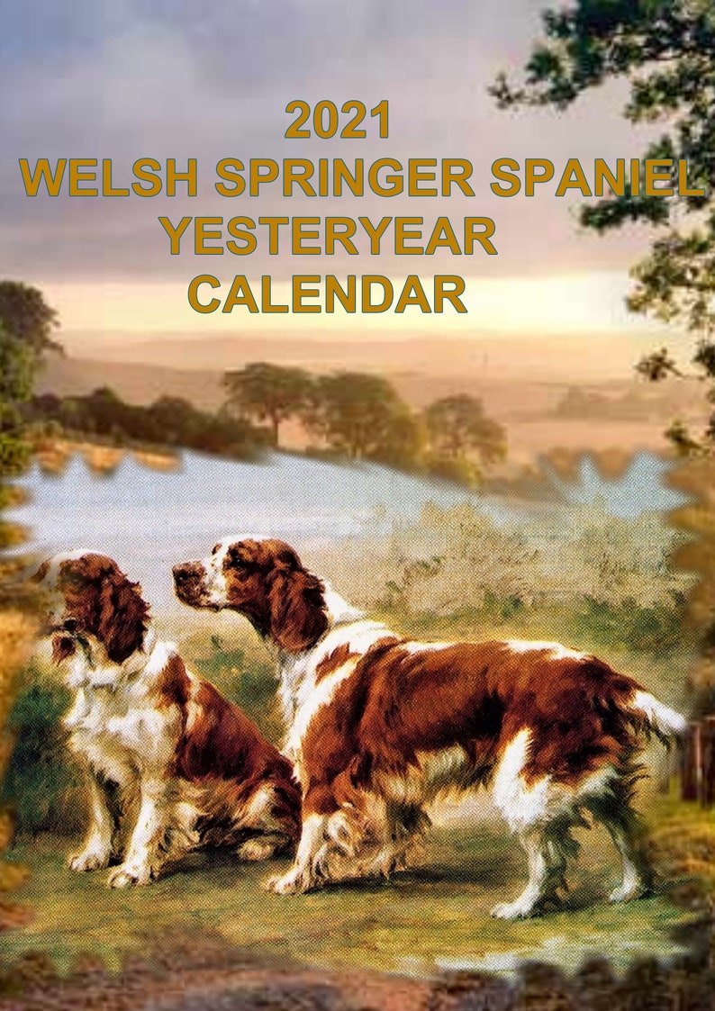 new-2021-welsh-springer-spaniel-dog-yesteryear-calendar-etsy