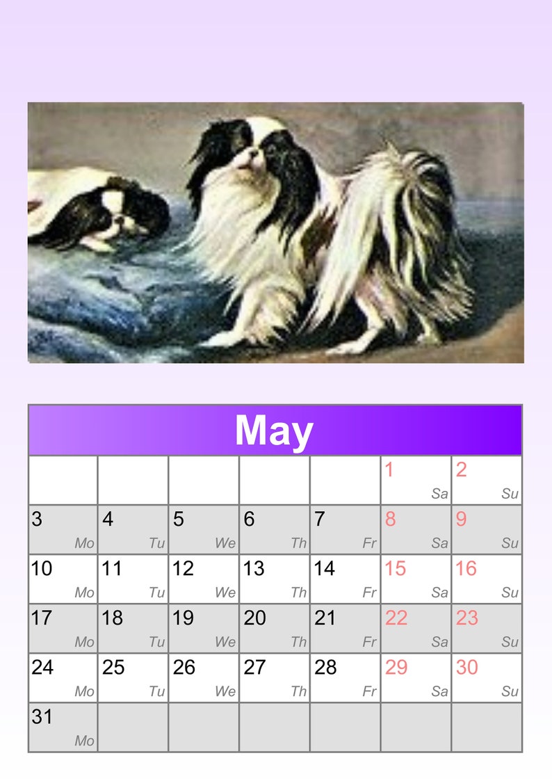 NEW 2021 JAPANESE CHIN Dog yesteryear calendar freepost inland | Etsy
