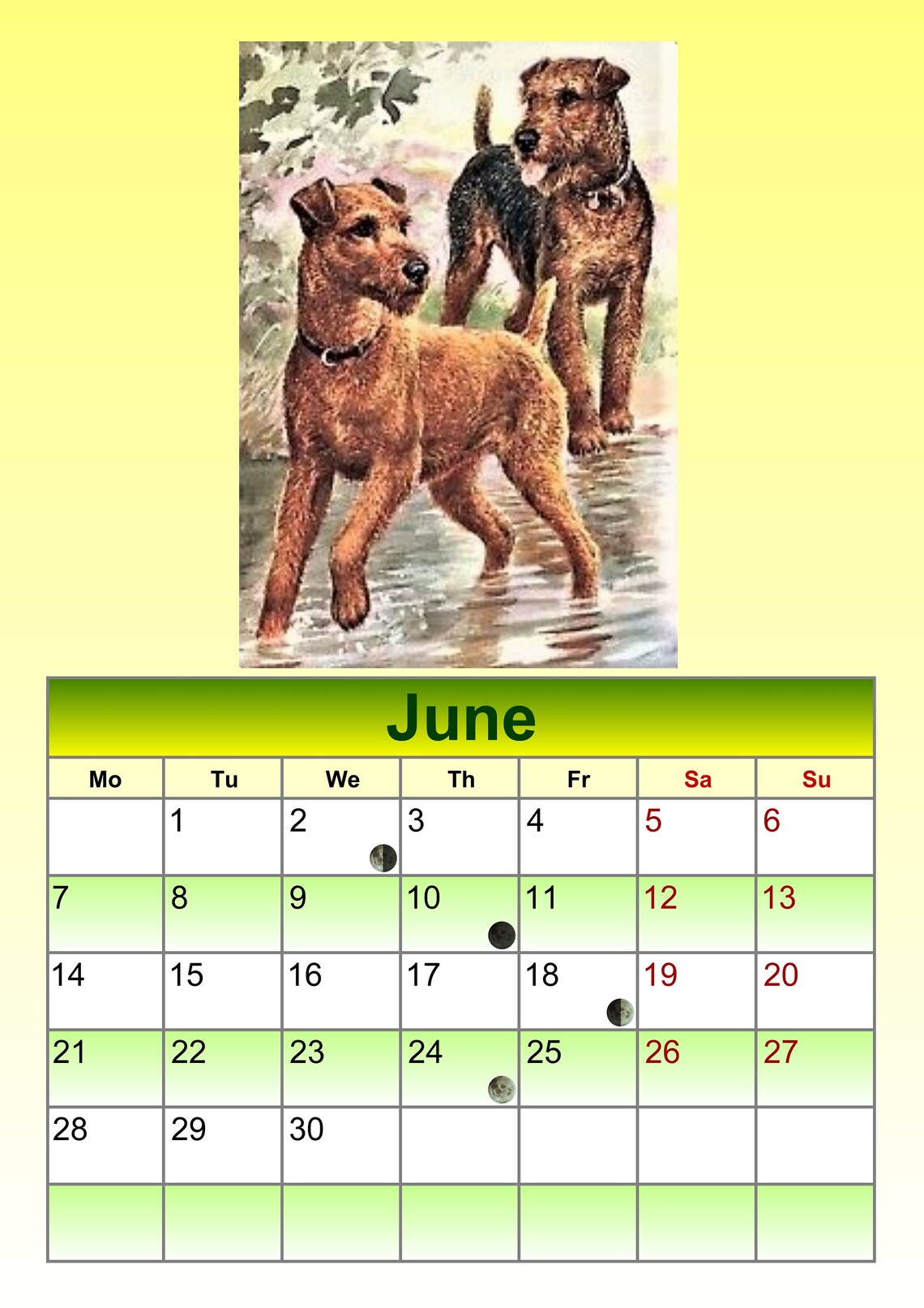 NEW 2021 IRISH TERRIER Dog yesteryear calendar freepost | Etsy