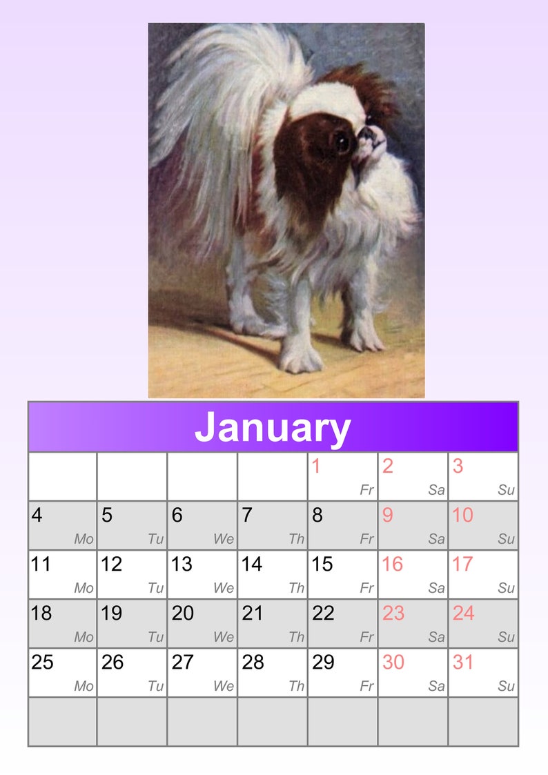 NEW 2021 JAPANESE CHIN Dog yesteryear calendar freepost inland | Etsy