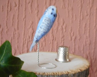 miniature budgies for sale