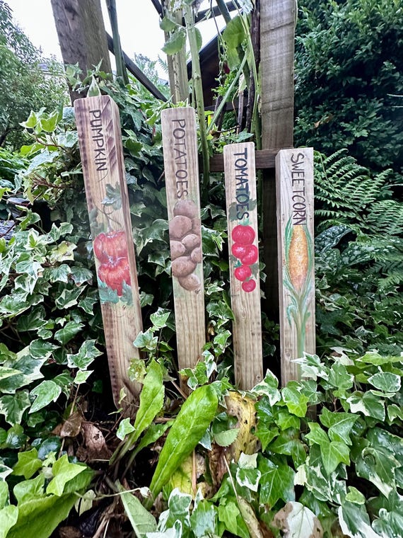 Seed Markers *  Vegetable Markers and Stakes * Allotment Sign * Personalised sign