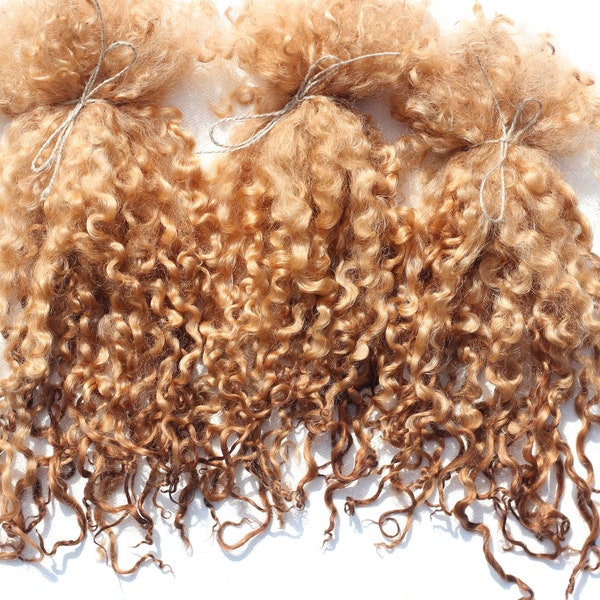 Walnut plant dyed Teeswater shearling 1st clip locks, dark chestnut reddish brown, approx. 8" - 10", individually pulled, 10g packs