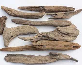Driftwood, Scottish beach finds, joblot of larger pieces (lot 9a)