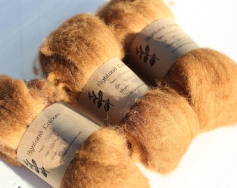 50g Walnut plant dyed CHEVIOT roving, natural chestnut reddish brown, handspinning or felting