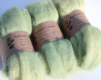 50g Indigo & Goldenrod plant dyed CHEVIOT roving, natural clear mid green, handspinning or felting