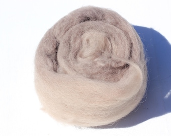 Oak leaves dyed Shetland plant dyed roving hand spinning felting tops, warm grey soft wool, 25g packs (dye lot #3)