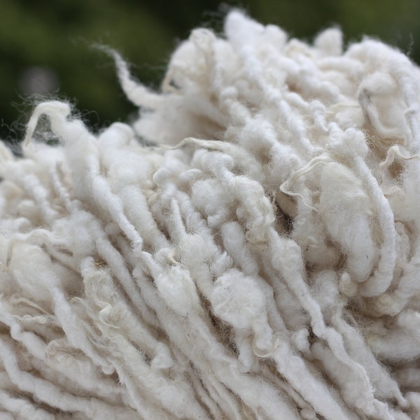 25g Handspun Bluefaced Leicester x Scottish Blackface, grown in Scotland, soft ivory cream white lock yarn, aprox. 5/5yards per 25g