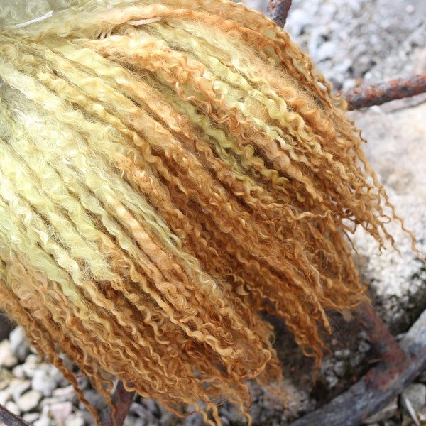 Red Onion Skins & Sorghum plant dyed Teeswater locks, 10" - 14", 10gram bundles