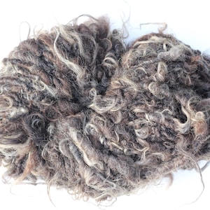 May include: A mass of raw wool, displaying a mix of brown, grey, and cream tones. The wool fibres are thick and curly, with a textured, natural look. This unprocessed wool is suitable for spinning, felting, or other fibre crafts.