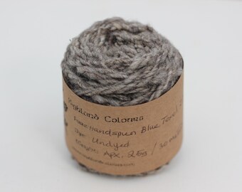 25g Handspun Blue Texel, 2 ply yarn, knit / crochet / weave, light natural grey with heathering from raw fleece, appx. 30 yds