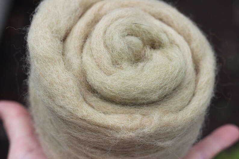 25g packs ready to spin or felt. all plant dyed light sage khaki olive green Spring Fern dyed Shetland roving