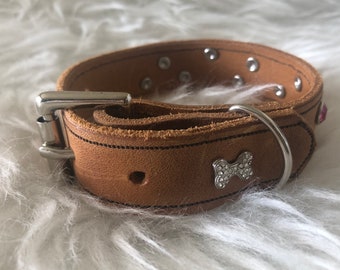 Small Genuine Leather Collar, with Pink Crystal Rivets.