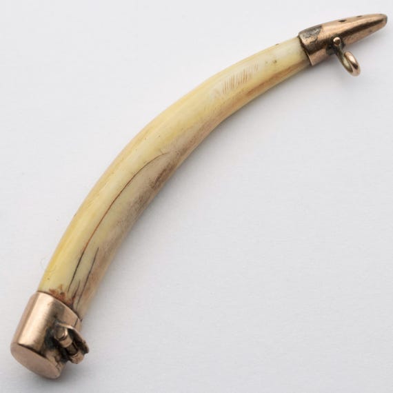 Antique Victorian Rose Gold Indian Raj Era Bone Claw Brooch